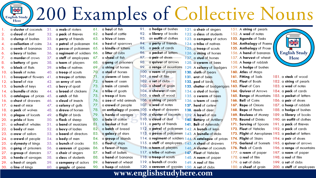 200 Examples of Collective Nouns - English Study Here