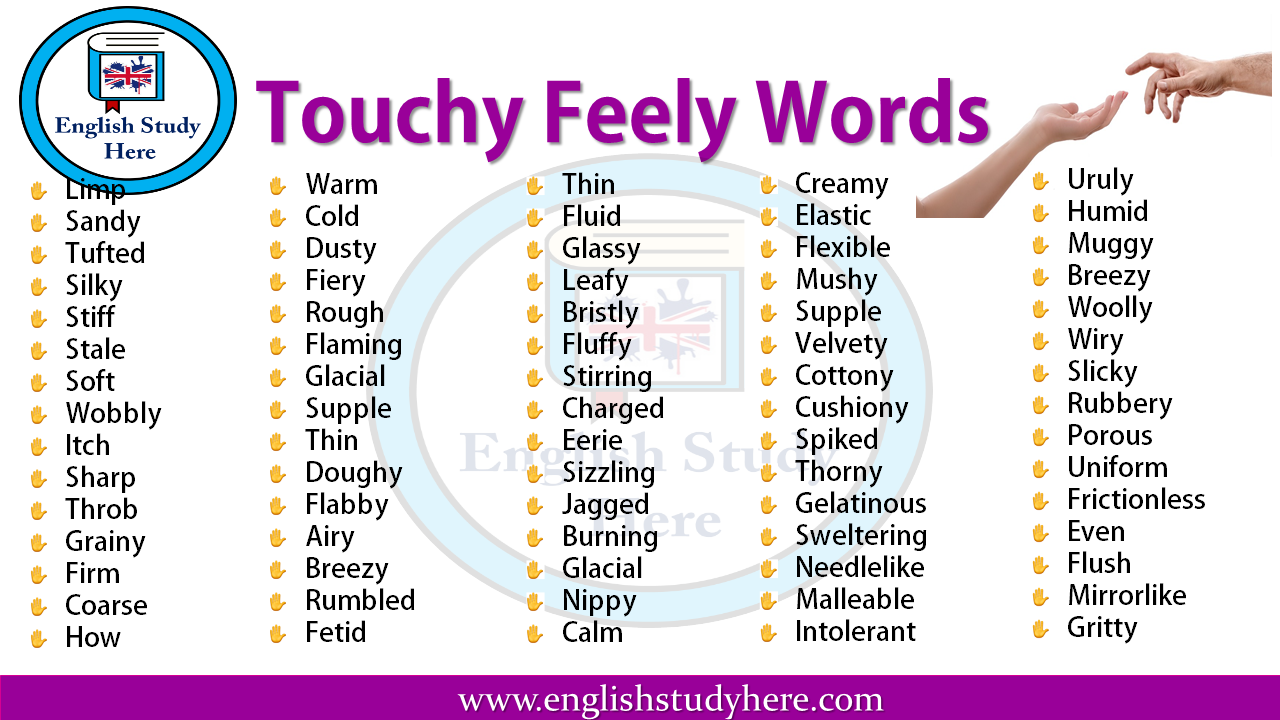 Touchy Feely Words English Study Here