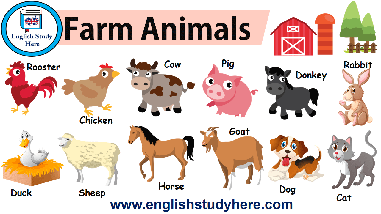 Producing Leads: How Slopping Hogs On The Farm Taught Me Business Success