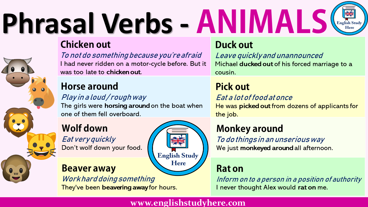 Phrasal Verbs for ANIMALS - English Study Here