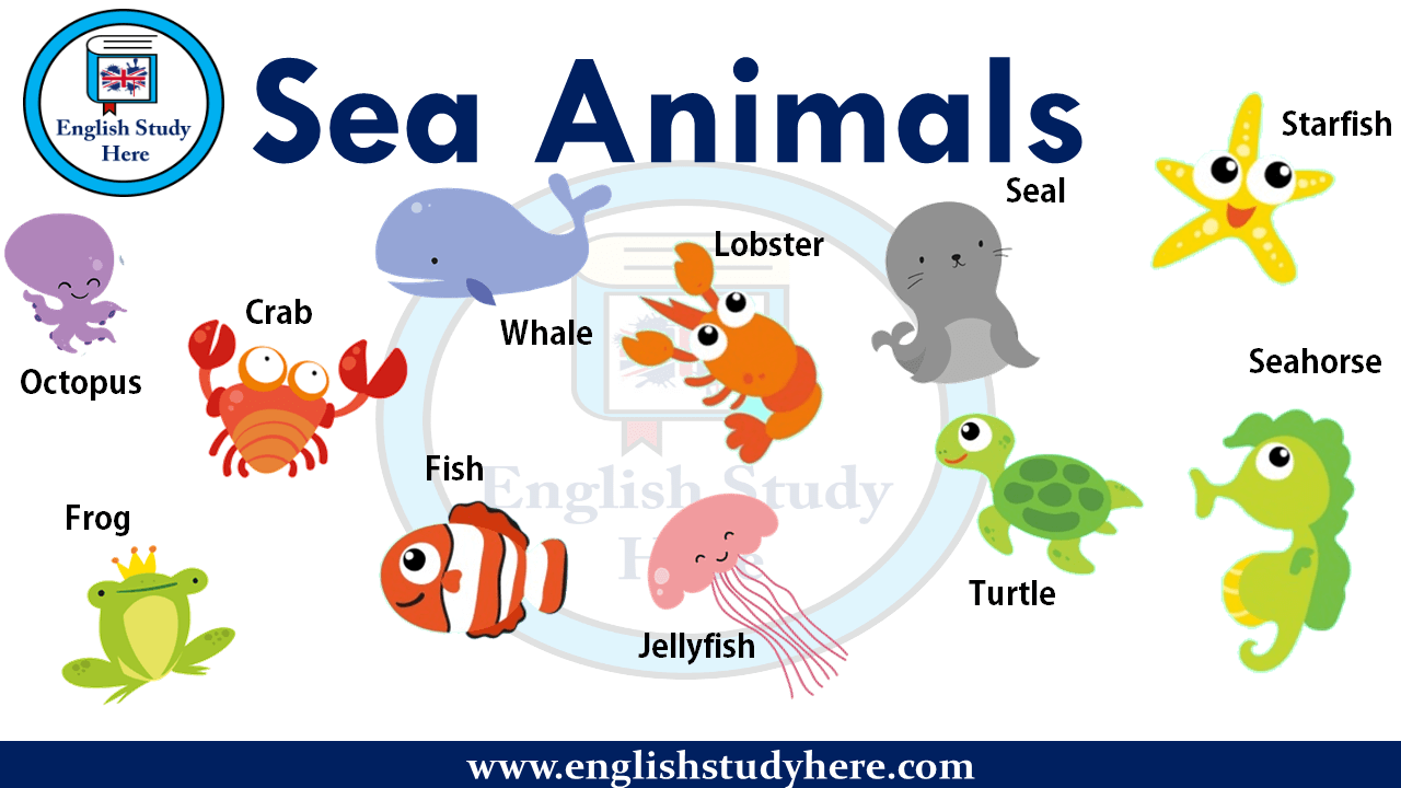 Sea Animals Names - English Study Here