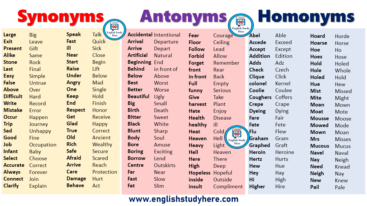 Synonyms Antonyms Homonyms List English Study Here
