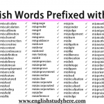 English Words Prefixed with mis-
