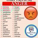 Other Ways to Say ANGER in English