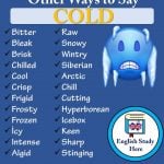 Other Ways to Say Cold in English