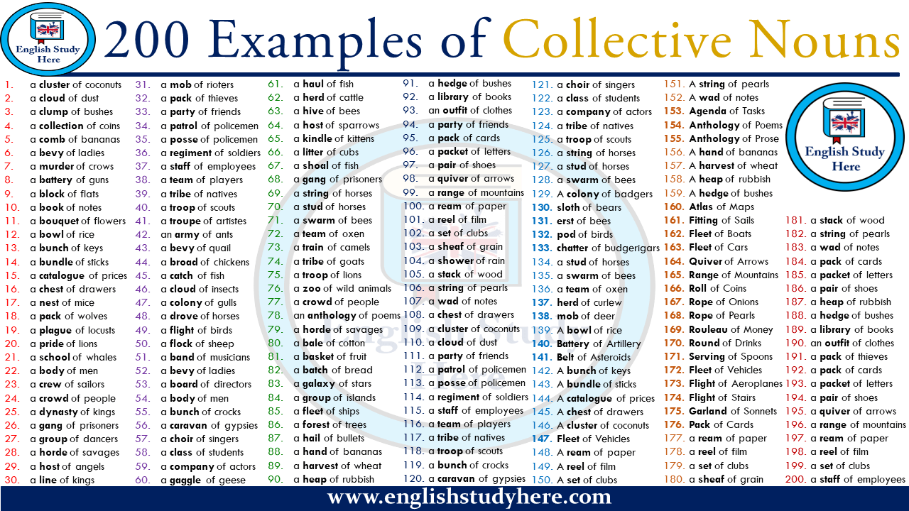 200 Examples Of Collective Nouns English Study Here