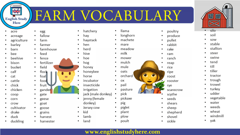 farm-vocabulary-in-english-english-study-here