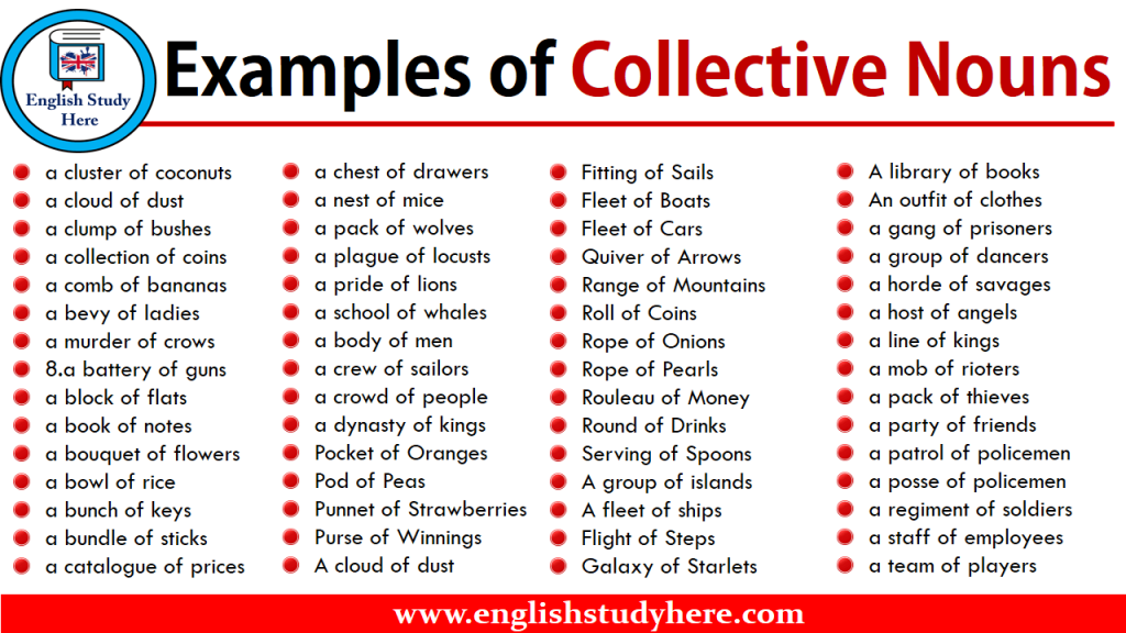 homework in collective noun