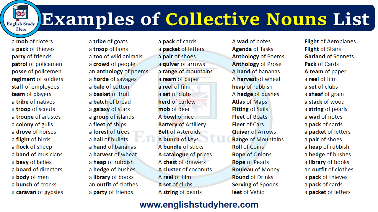 Examples of Collective Nouns List