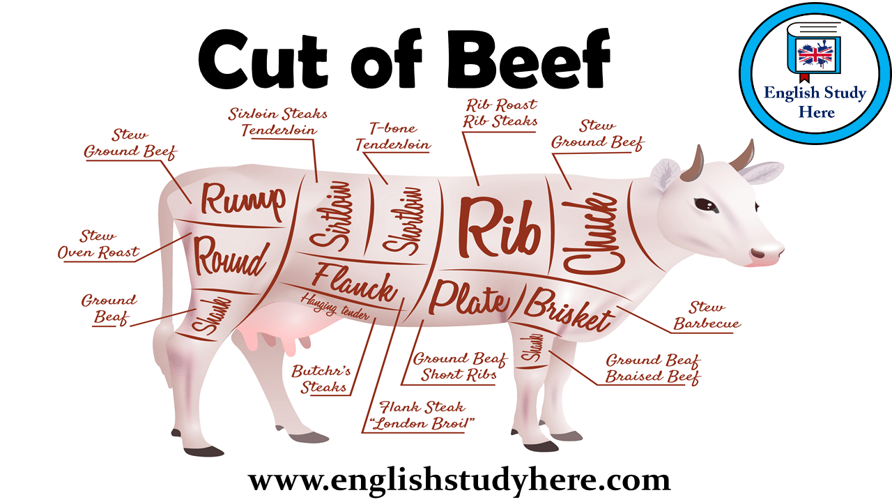 Cut Of Beef Names Archives English Study Here