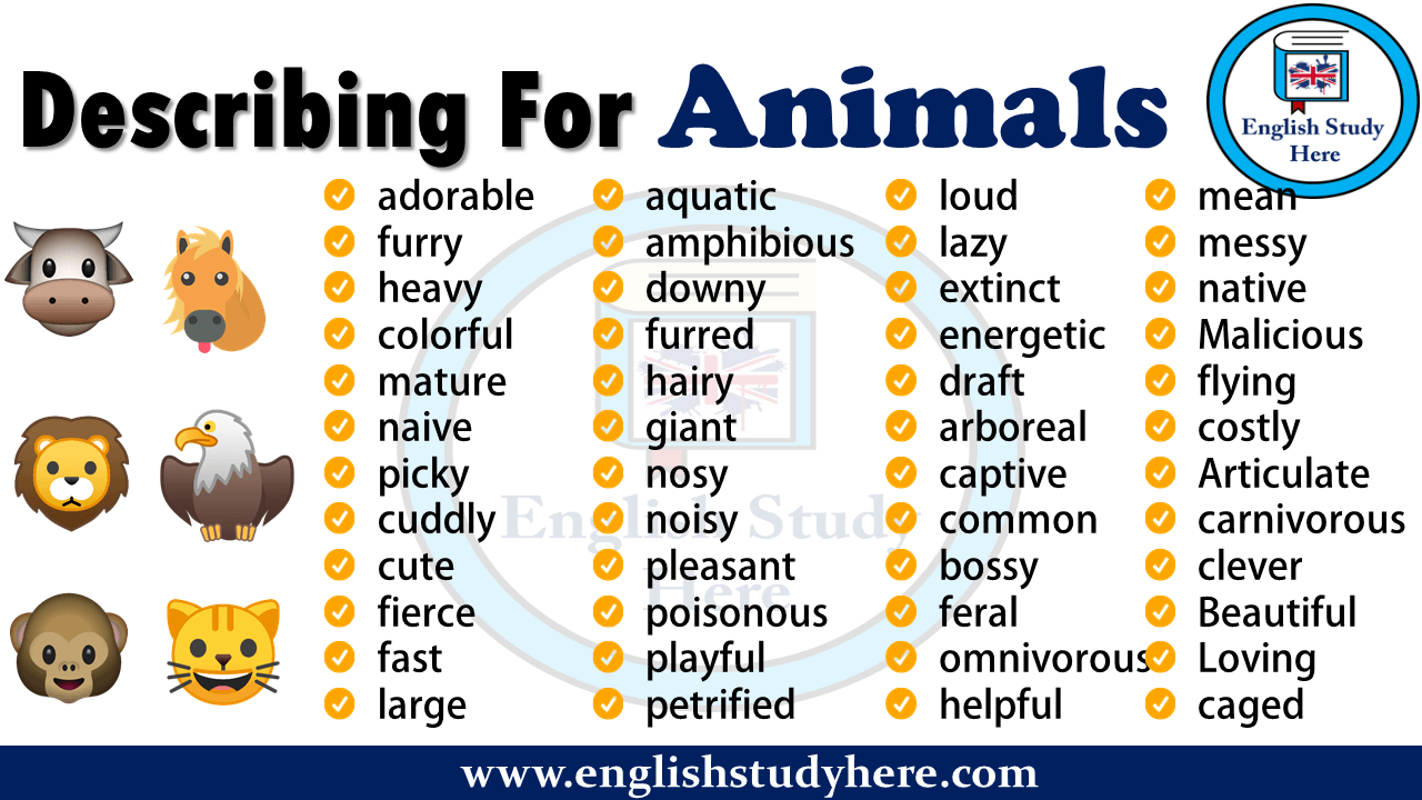 adjectives for describing animals in english Archives - English Study Here