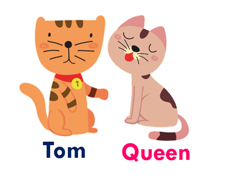 Gender of animals Tom - Queen