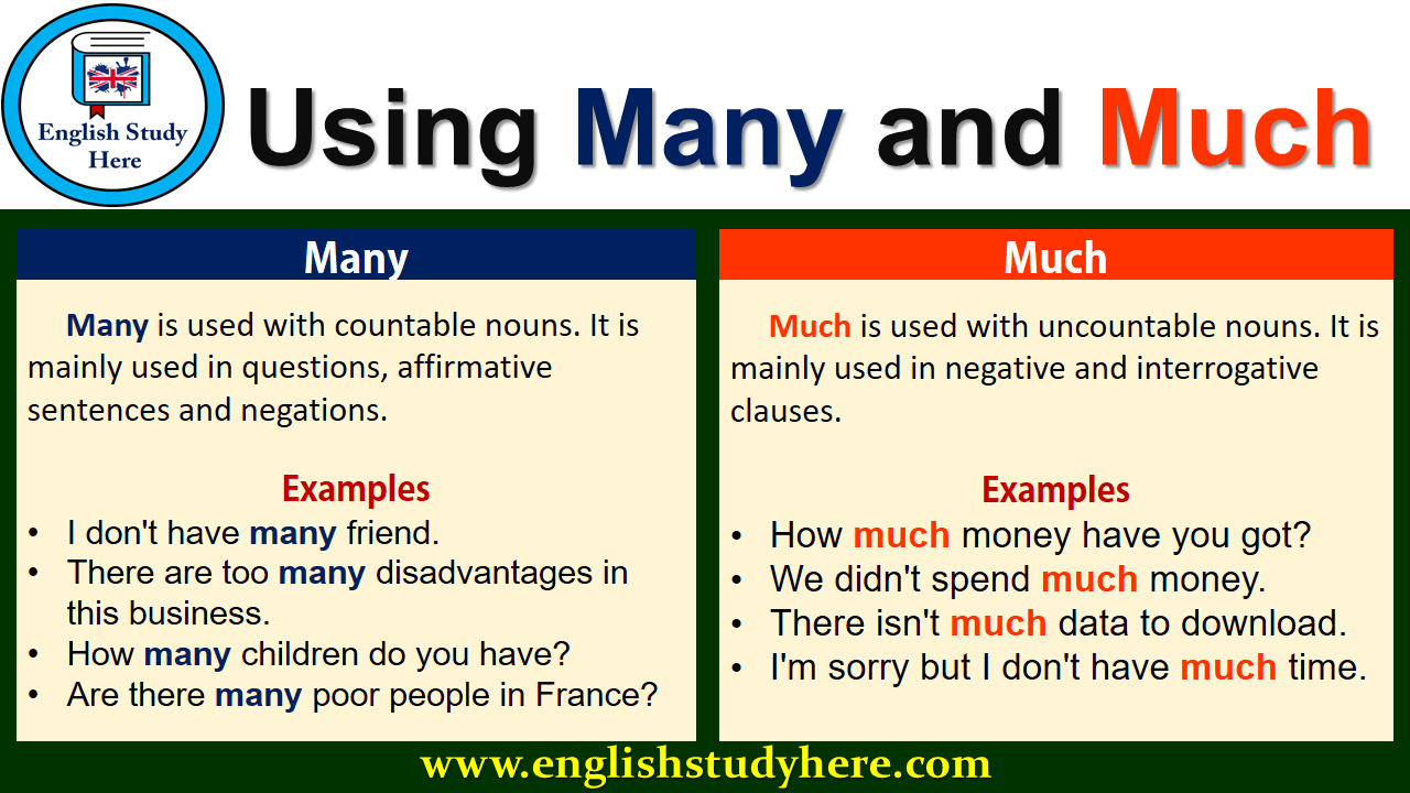 Using Many and Much in English