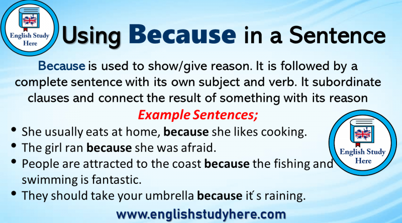 example sentences Archives English Study Here