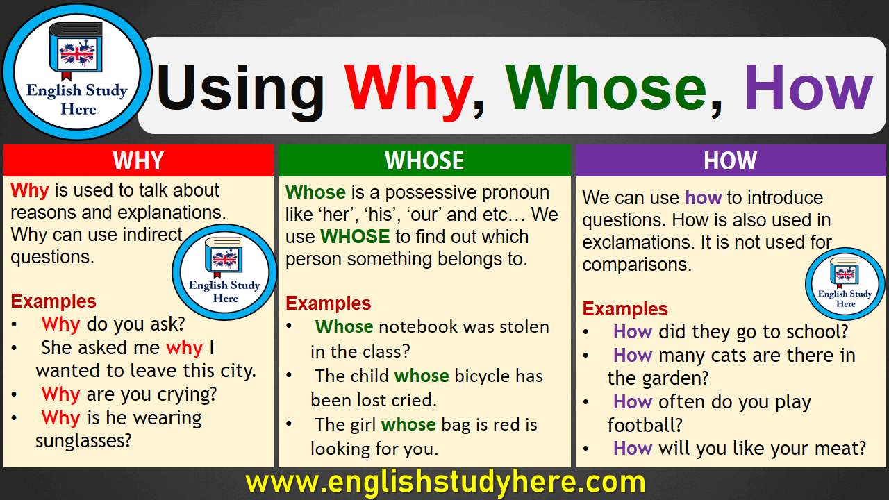 Using Why, Whose, How in English
