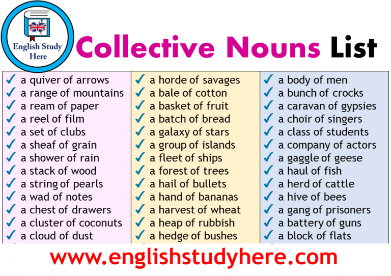 collective-nouns-list-english-study-here