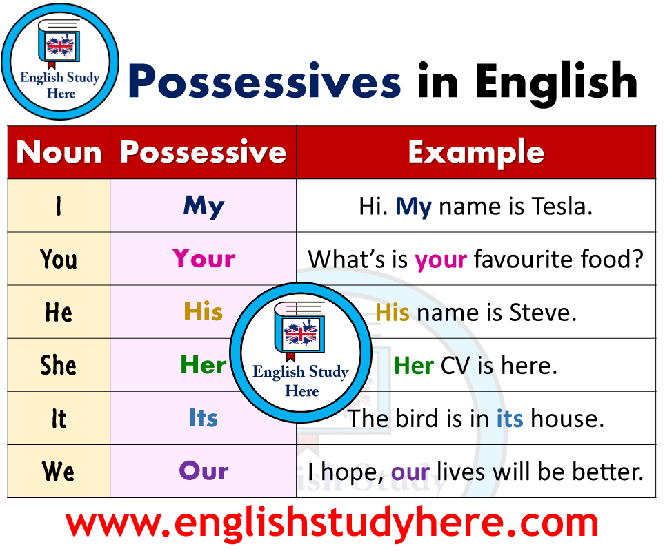 Forming The Possessives Possessives In English English Study Here