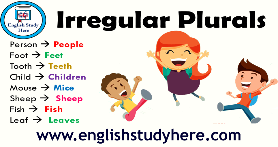 Irregular plurals list in english