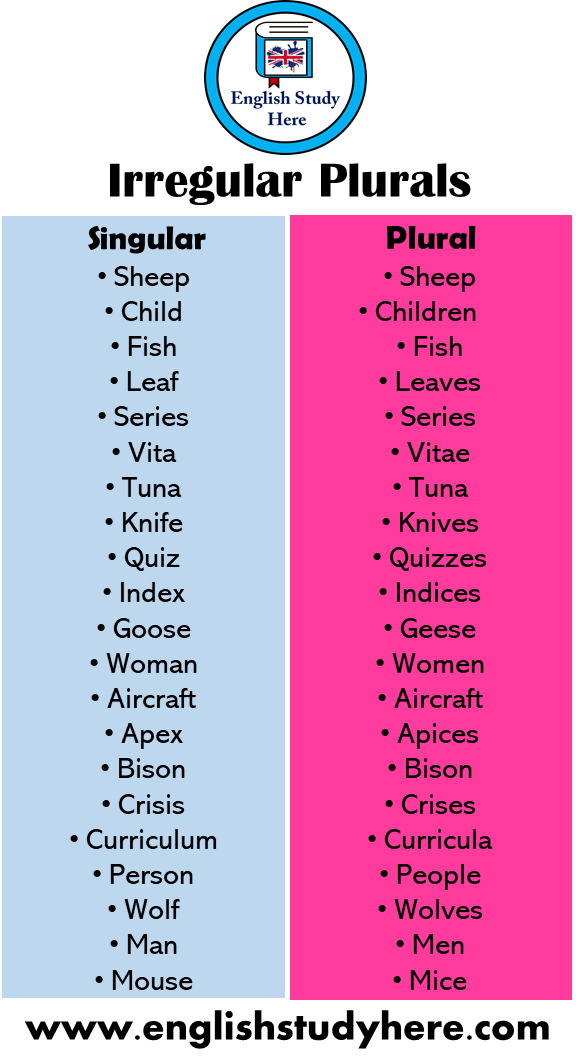 Singular And Plural Verbs List Pdf