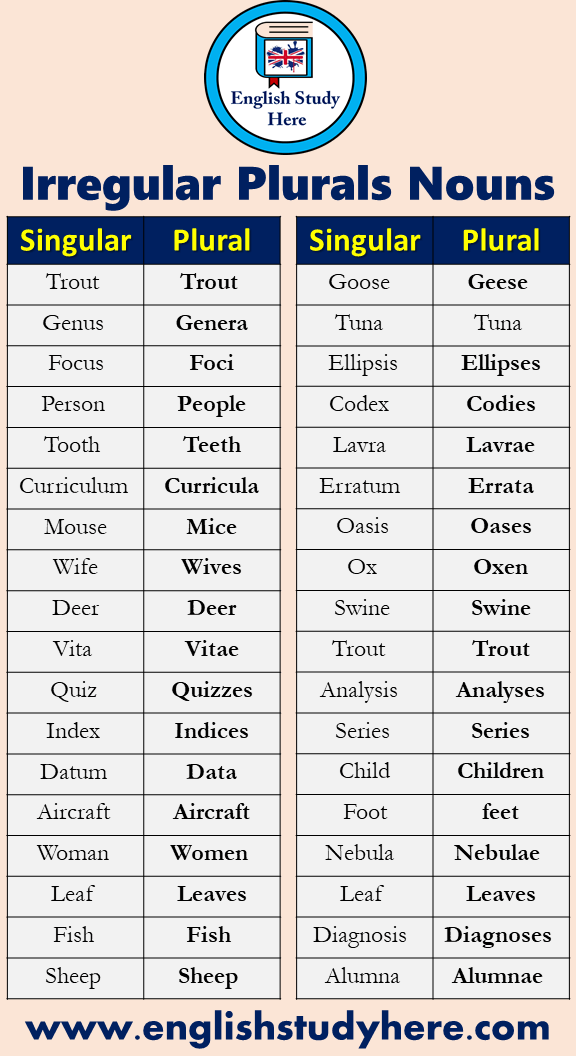 Plural Noun List in English  Plural nouns list, Plurals, Nouns