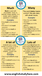 22 Example Sentences with Much, Many, A lot of, Lots of - English Study ...
