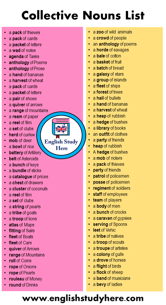 80 Collective Nouns List in English - English Study Here