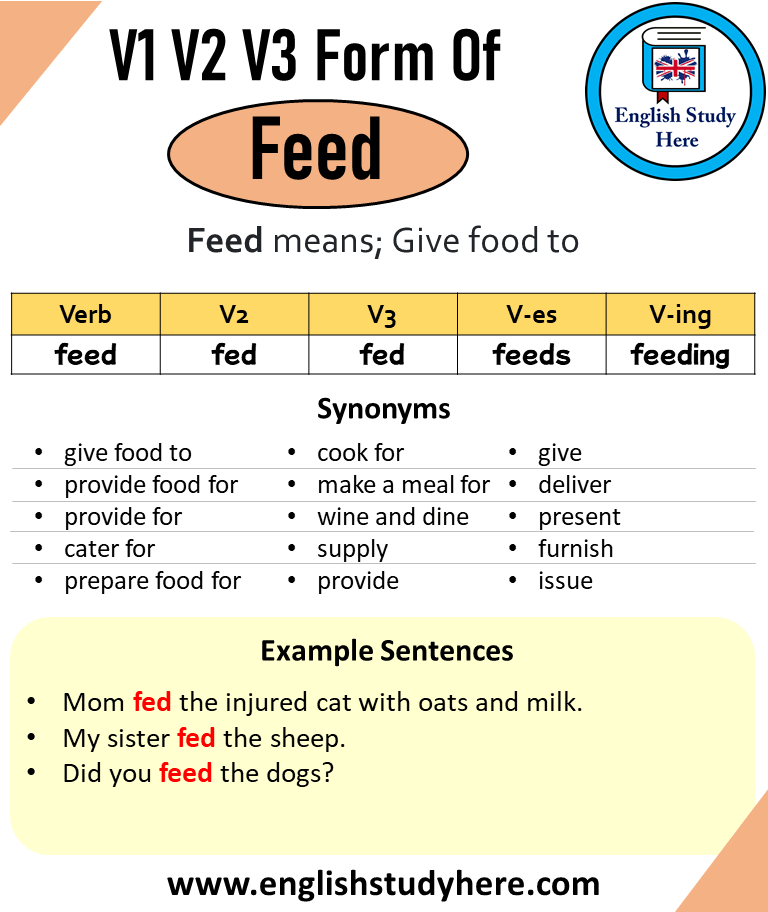Feed past. Feed формы. Feed past participle. Feed 3 формы. Feed 3 forms.