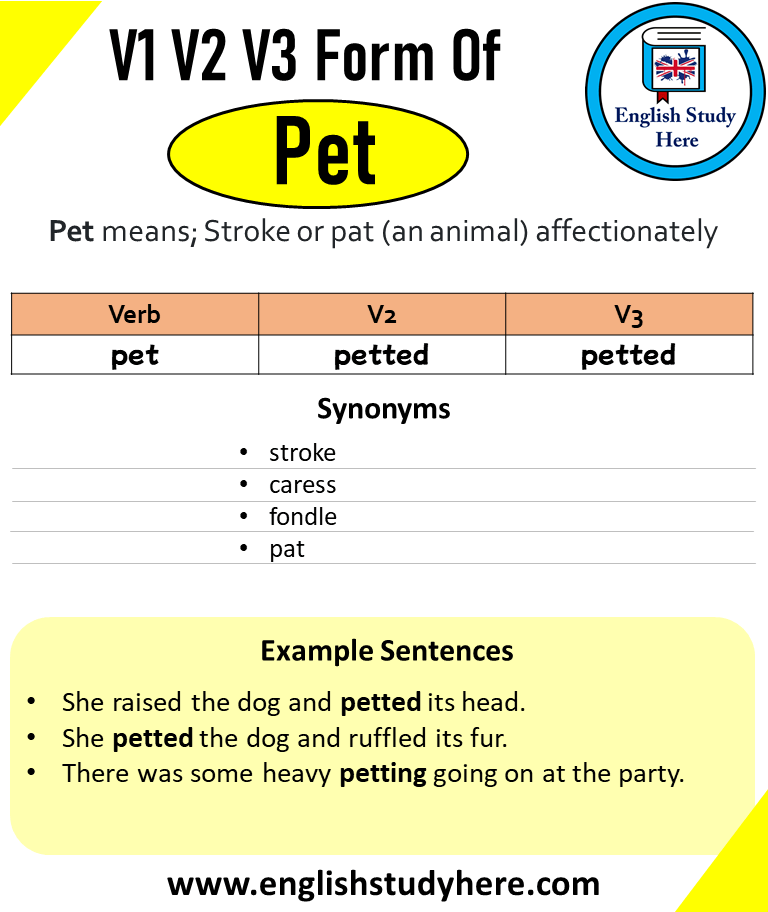 Past Tense of Pet, Past Participle of Pet, V1 V2 V3 V4 V5 Form of Pet -  English Study Here
