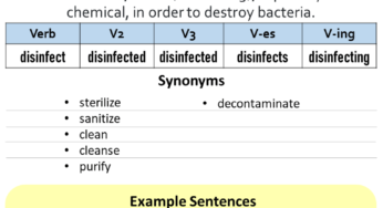 Sterilize Past And Past Participle Form V1 V2 V3 V4 V5 Form of Sterilize