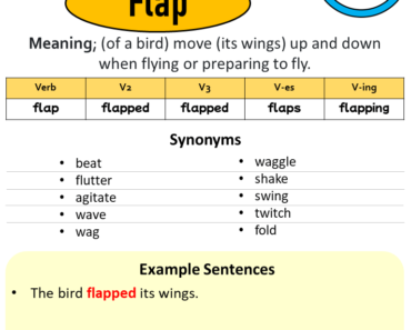English Study Here