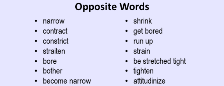 English Study Here
