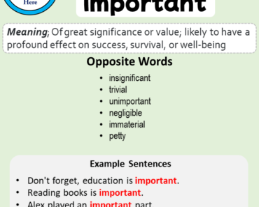 Synonyms Antonyms Homonyms List English Study Here
