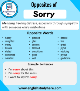 Opposite of Sorry, Antonym of Sorry, 22 Opposite Words For Sorry