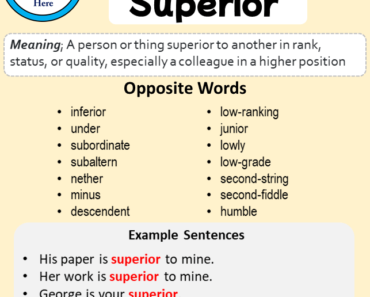 SUPERIOR DEFINITION ANTONYM visual data 2
