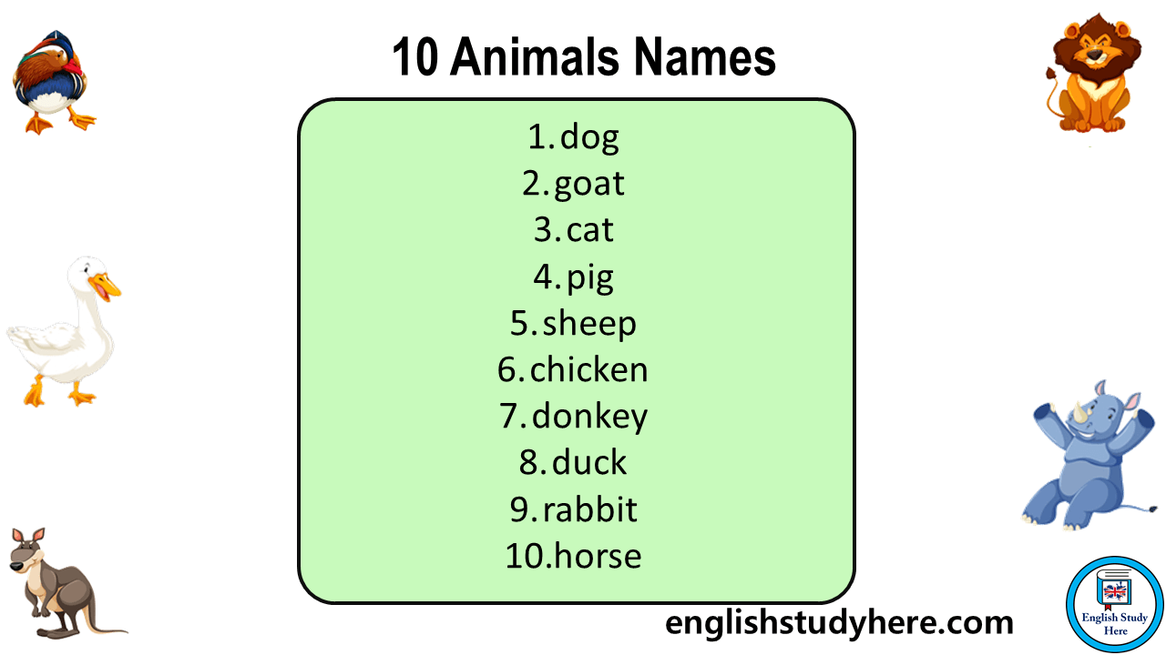 10 Animals Names, Animals Names List - English Study Here