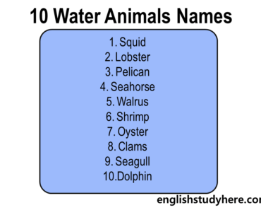 50 Water Animals Names in English - English Study Here