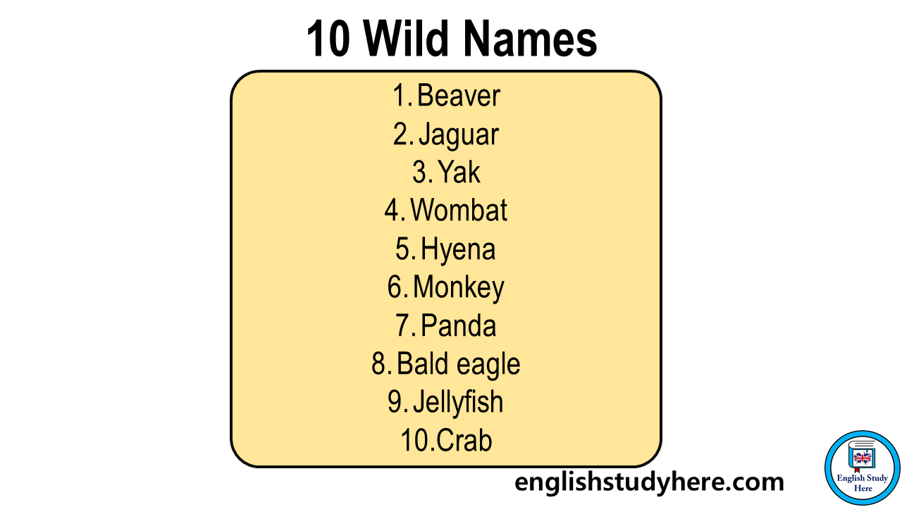 10 Wild Animals Name in English - English Study Here