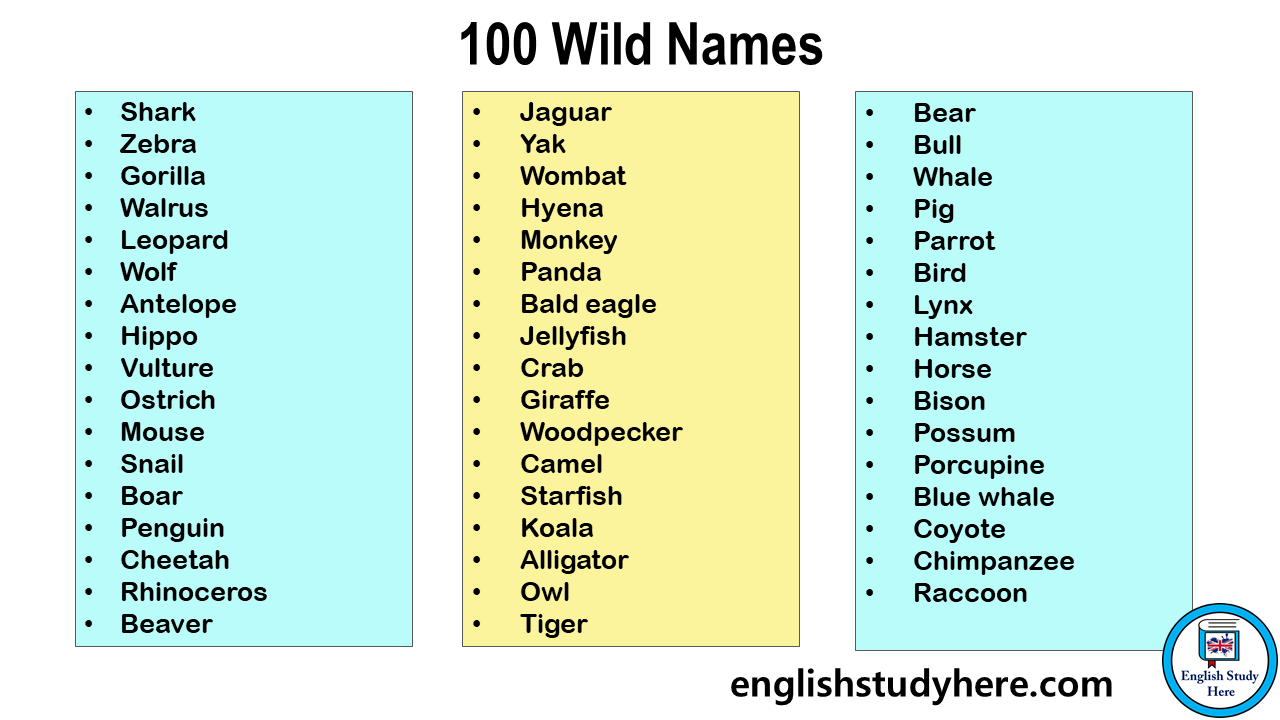 100 Wild Animals Name in English - English Study Here