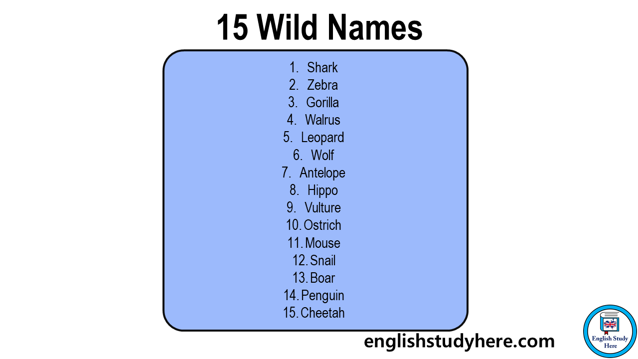 15 Wild Animals Name in English - English Study Here