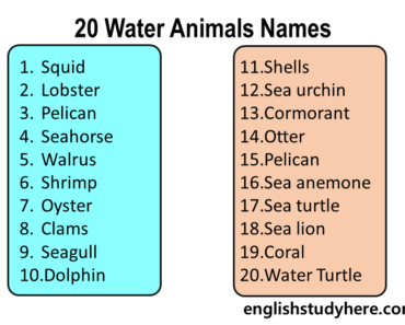 Domestic Animals Names in English - English Study Here