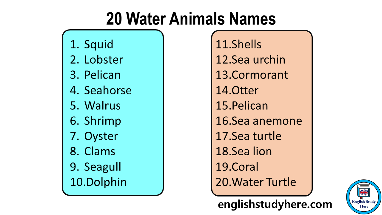20 Water Animals Names in English - English Study Here