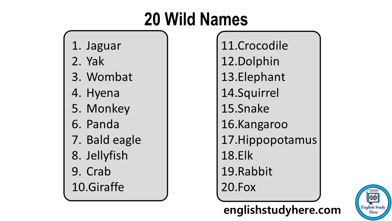 20 Wild Animals Name in English - English Study Here