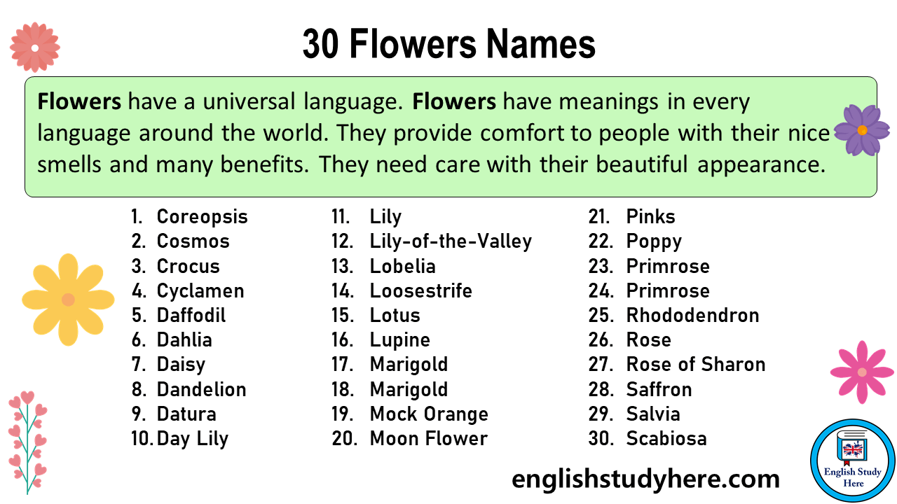30 Flowers Names in English - English Study Here