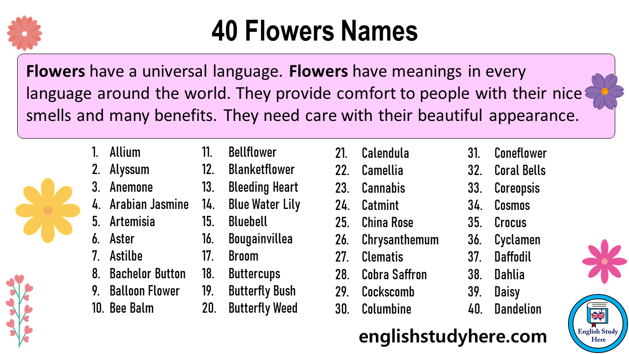 25 Flowers names, Flower names list with Pictures