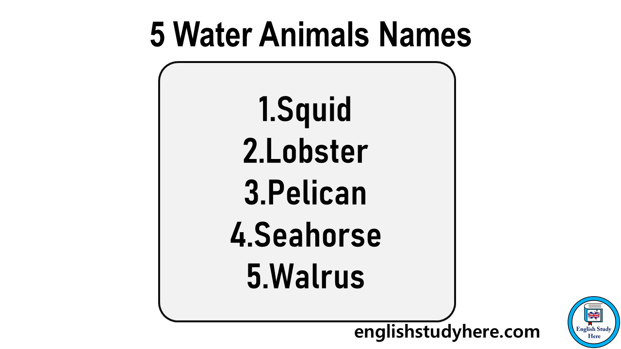 5 Water Animals Names in English - English Study Here