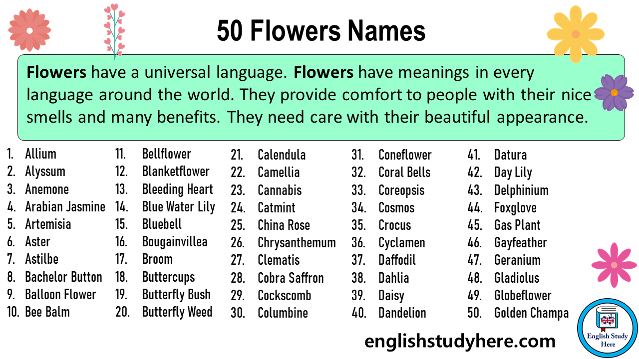 50 Flowers Names In English