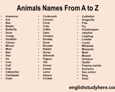Male, Female and Young Animals Names - English Study Here