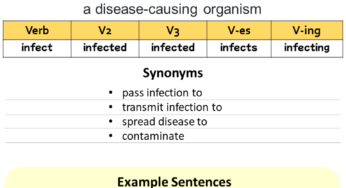 Infect Past And Past Participle Form V1 V2 V3 V4 V5 Form of Infect 