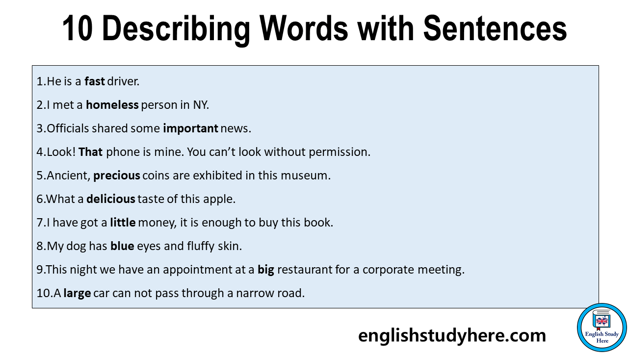  7 10 Describing Words With Sentences In English M i Nh t 06 2023 