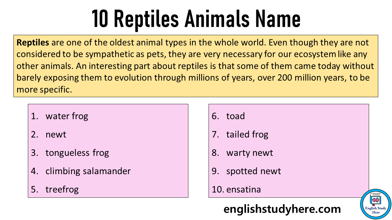 10 Reptiles Animals Name in English - English Study Here